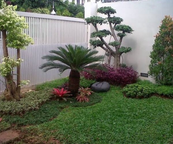 pemandangan fay (30) pemandangan fay (30)